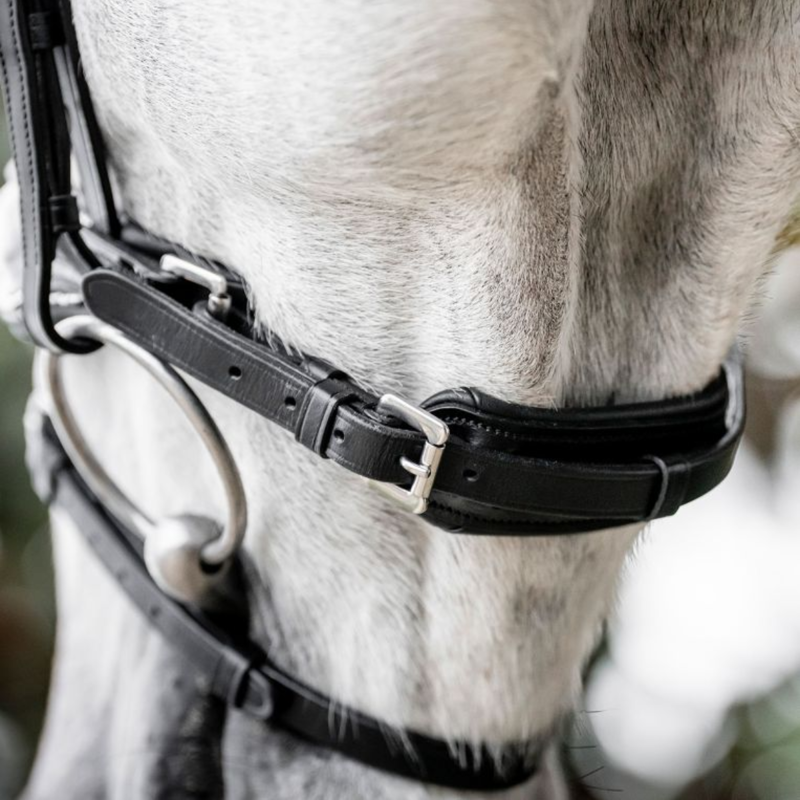Horseware Diamante Flash Bridle - Black/Black-4