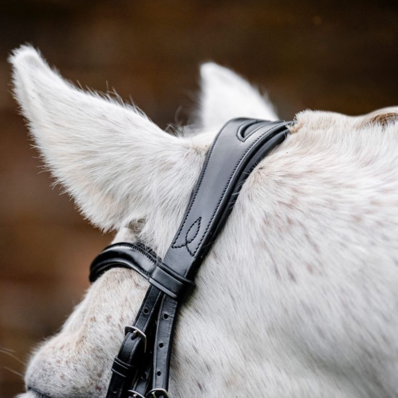 Horseware Pony Cavesson Bridle - Black-2
