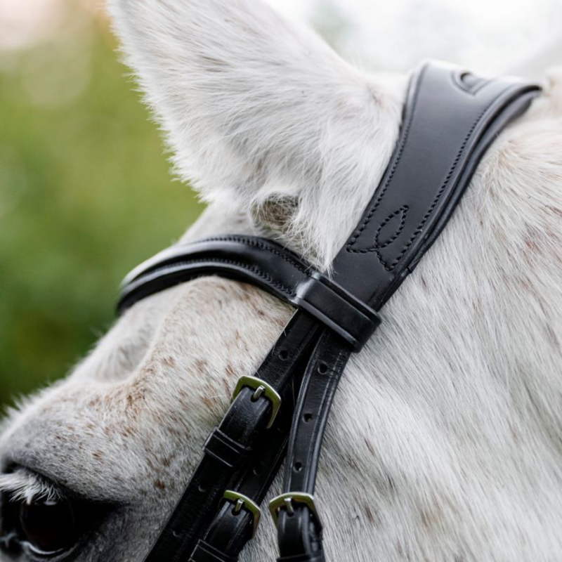 Horseware Pony Cavesson Bridle - Black-4