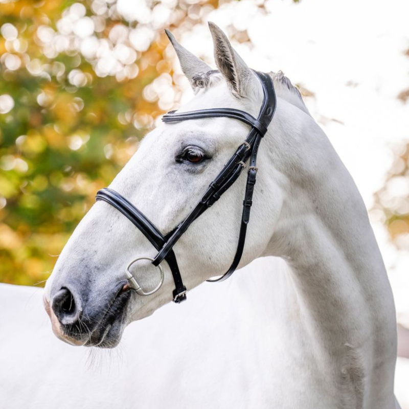 Horseware Cavesson Bridle - Black-1