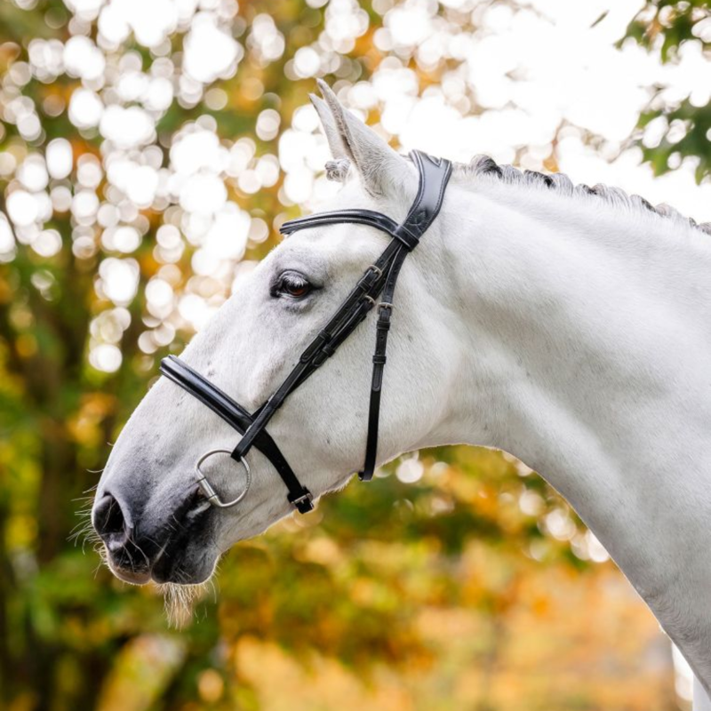 Horseware Cavesson Bridle - Black-2