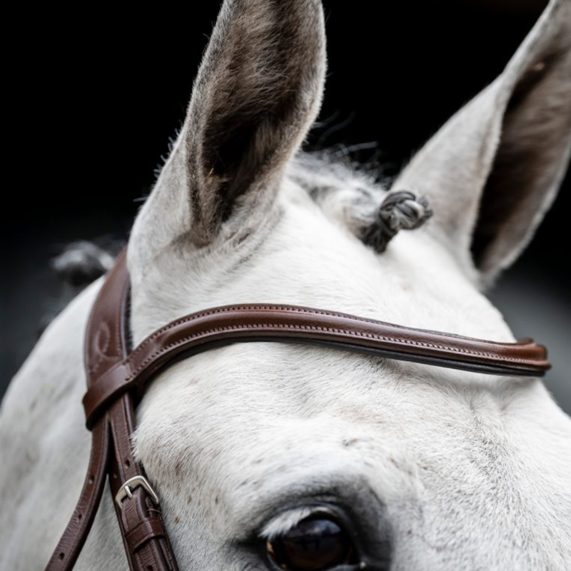 Horseware Cavesson Bridle - Brown-2