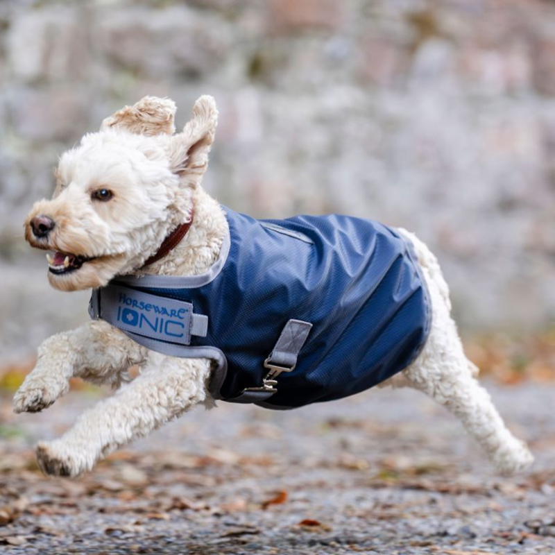 Horseware Ionic Therapy 50g Dog Coat - Imperial Blue/Silver Navy-1
