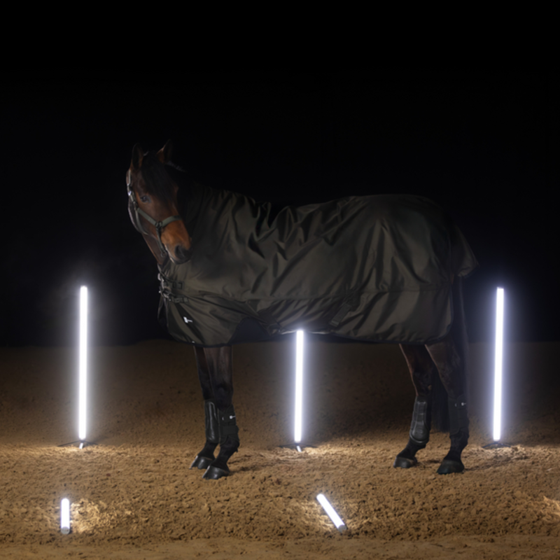 Eskadron Beta 1680D 150g Turnout Rug Dynamic AW25 - Deep Green-1
