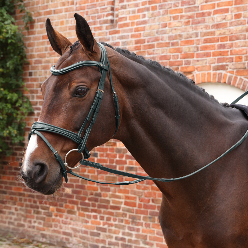 Shires Velociti LUSSO Opus SureGrip Reins - Black