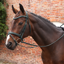 Shires Velociti LUSSO Opus SureGrip Reins - Black