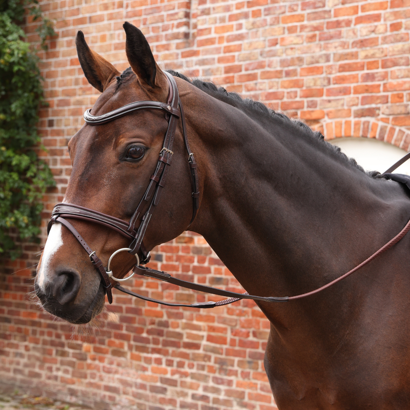 Shires Velociti LUSSO Opus SureGrip Reins - Havana