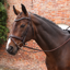 Shires Velociti LUSSO Opus SureGrip Reins - Havana