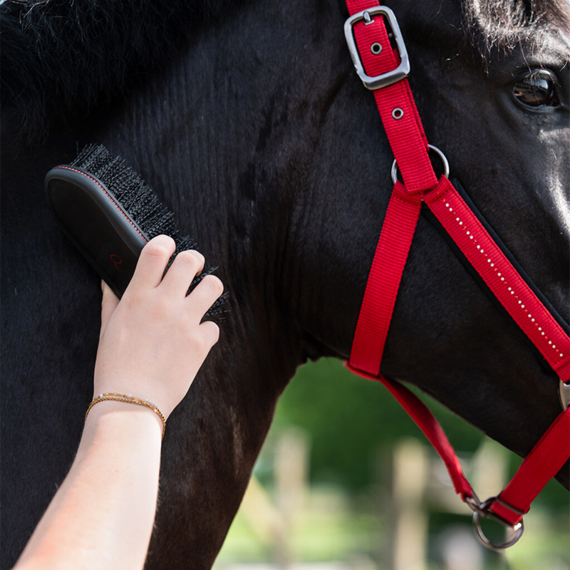 QHP Oakleigh Dandy Brush - Sunset Red/Black-2