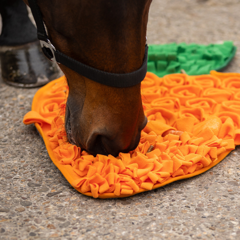 QHP Snuffle Mat For Horses - Carrot-2