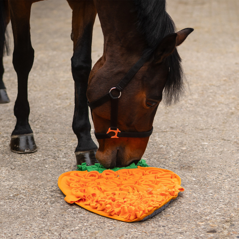 QHP Snuffle Mat For Horses - Carrot-1