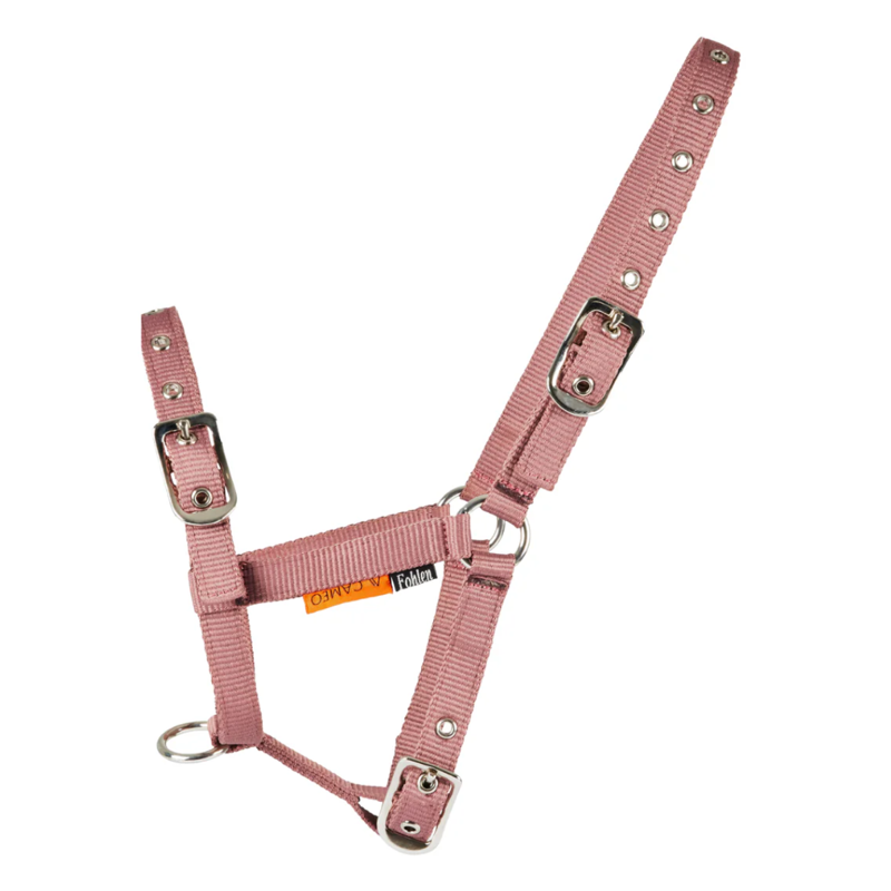 Cameo Foal Headcollar - Dusky Pink