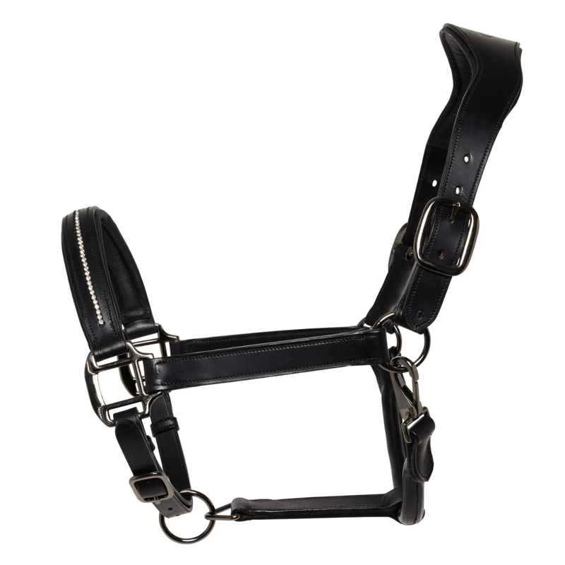 Cameo Competition Leather Headcollar - Black