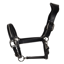 Cameo Competition Leather Headcollar - Black