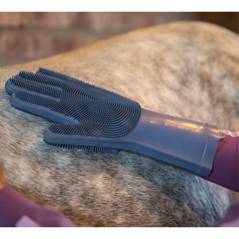 LeMieux Washing Glove - Powder Blue-2