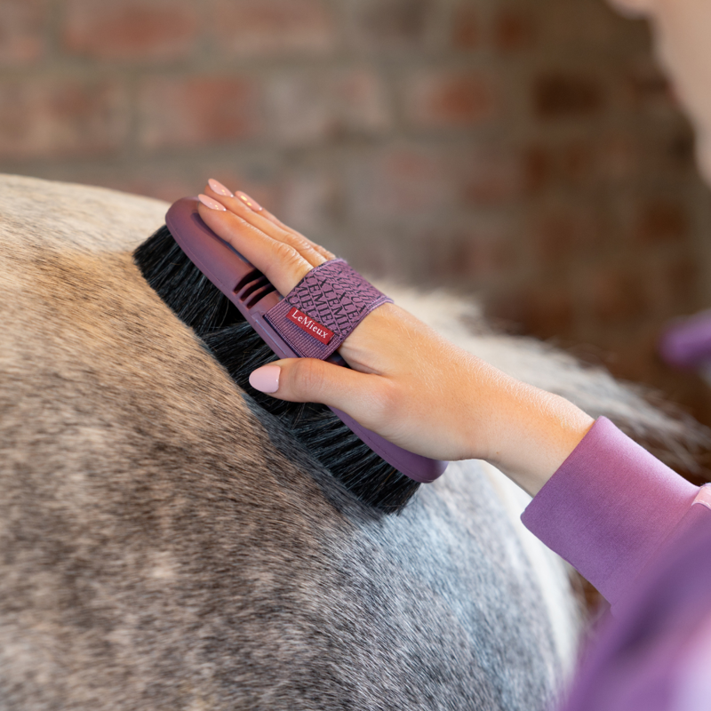 LeMieux Flexi Horse Hair Body Brush - Powder Blue-1