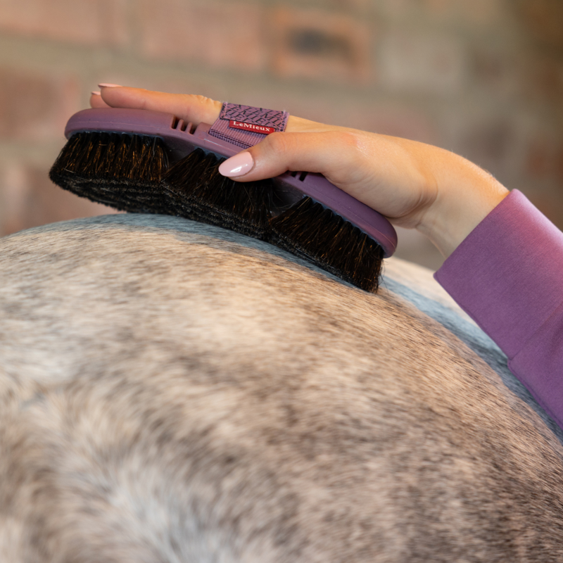 LeMieux Flexi Horse Hair Body Brush - Powder Blue-2
