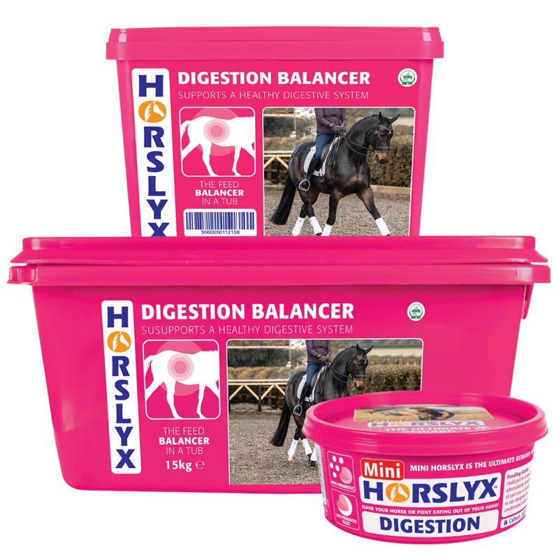 Horslyx Digestion Balancer Lick