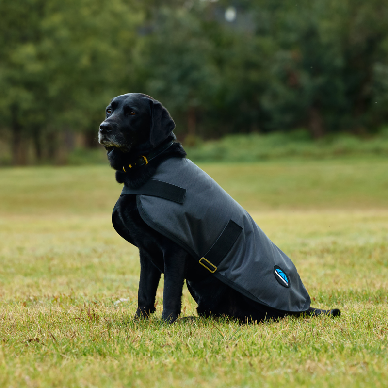 WeatherBeeta ComfiTec Classic Waterproof Dog Coat - Charcoal-2