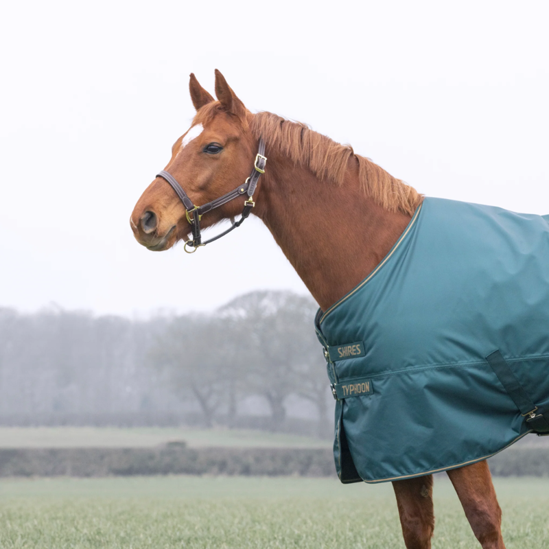 Shires Typhoon 200 Turnout Rug - Green-2