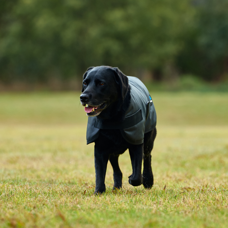 WeatherBeeta ComfiTec Classic Waterproof Dog Coat - Charcoal-3