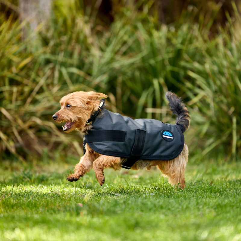 WeatherBeeta ComfiTec Classic Waterproof Dog Coat - Charcoal-7