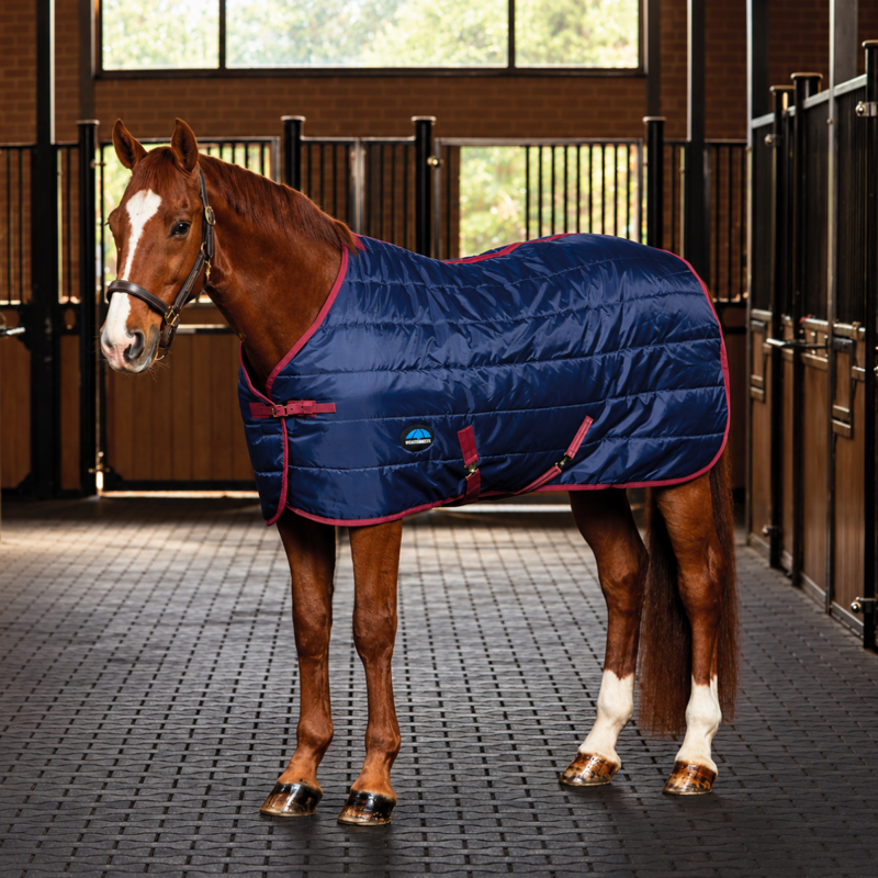 WeatherBeeta 360g Stable Rug - Navy/Burgundy