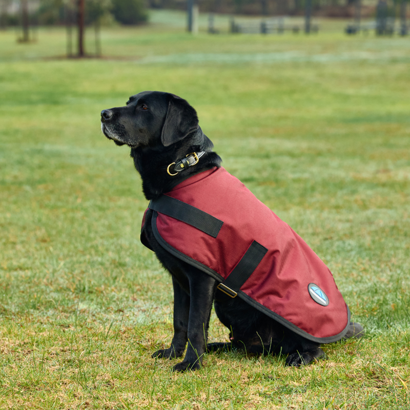 WeatherBeeta ComfiTec Classic Waterproof Dog Coat - Burgundy-1