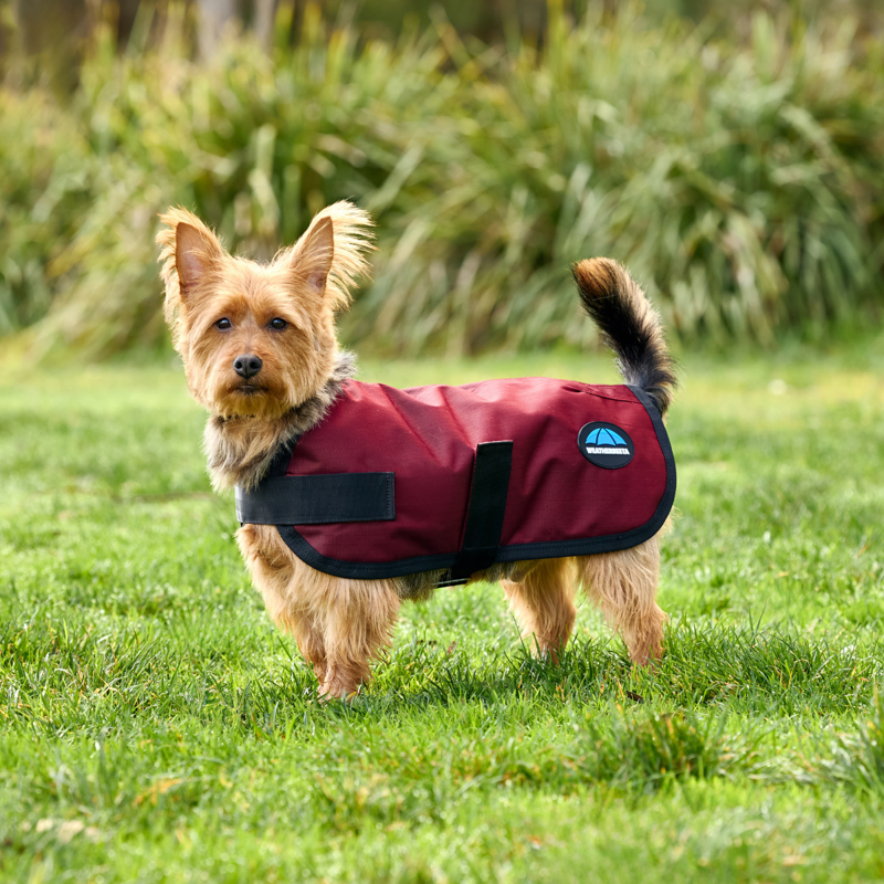 WeatherBeeta ComfiTec Classic Waterproof Dog Coat - Burgundy-2