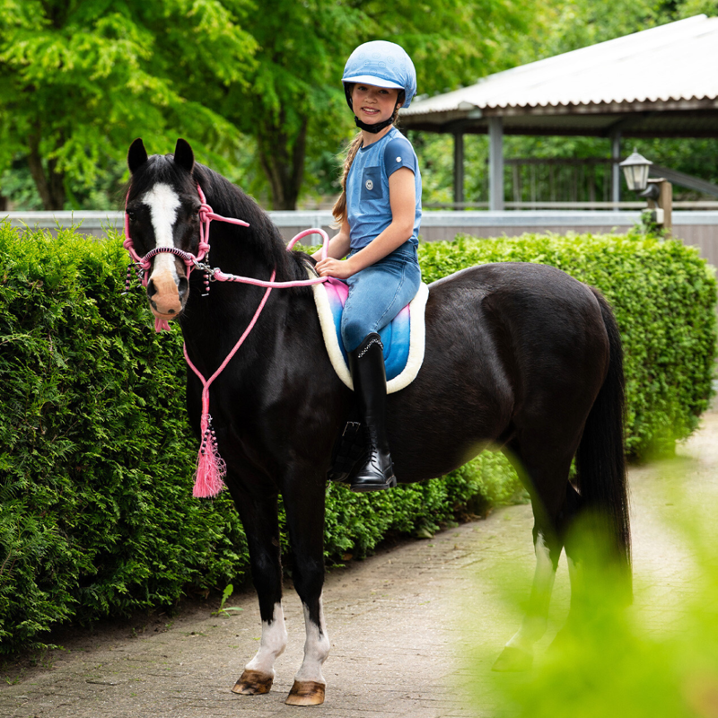 QHP Rosalynn Bareback Pad - Pink/Blue-3