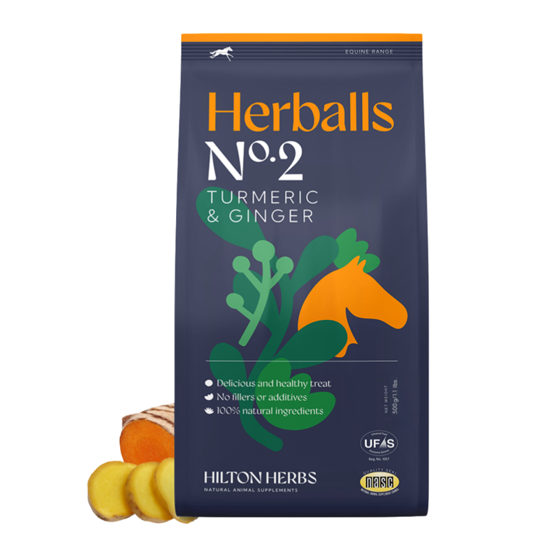 Hilton Herbs Herballs No.2 500g - Turmeric and Ginger