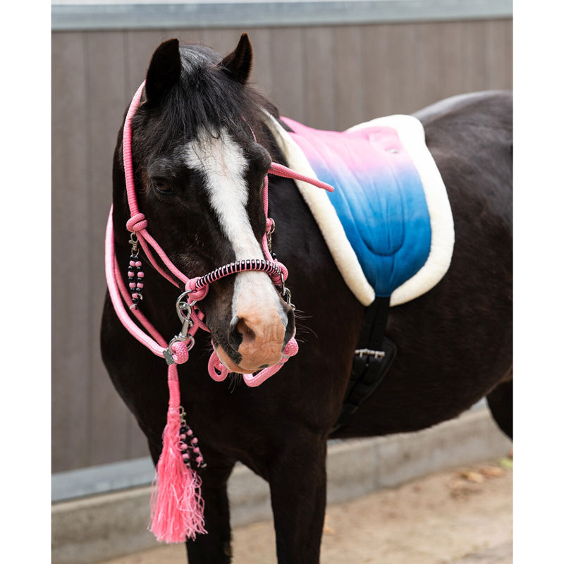 QHP Rosalynn Bareback Pad - Pink/Blue-4