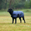WeatherBeeta ComfiTec Classic Waterproof Dog Coat - Navy