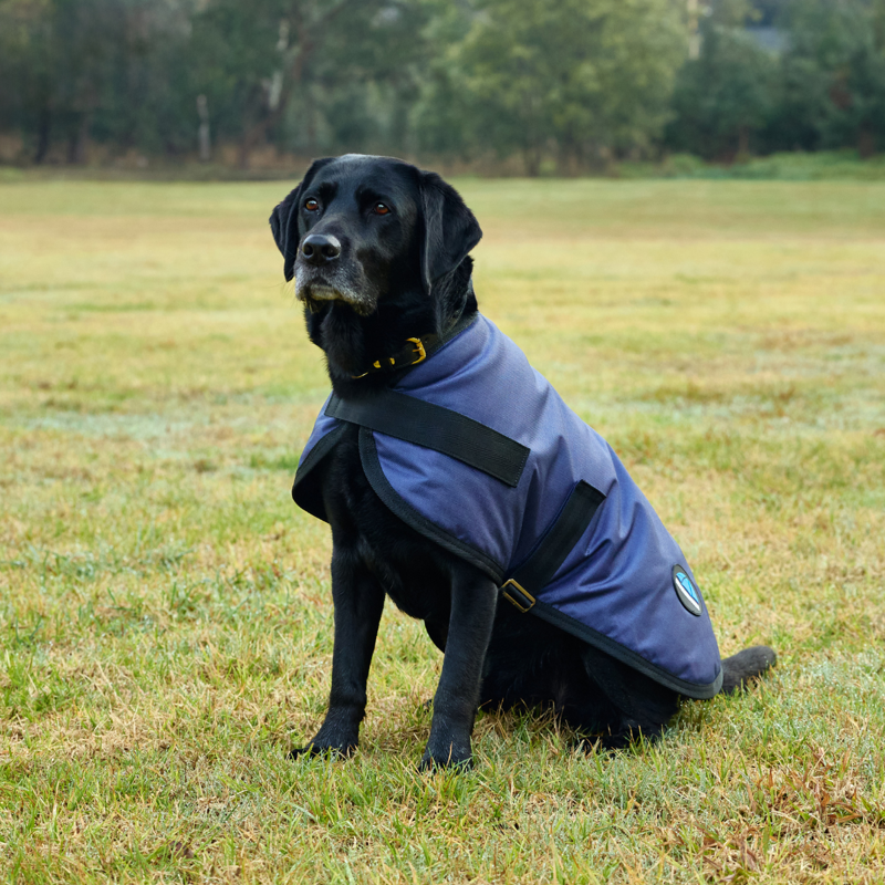 WeatherBeeta ComfiTec Classic Waterproof Dog Coat - Navy-1