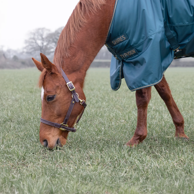 Shires Typhoon 200 Turnout Rug - Green-3