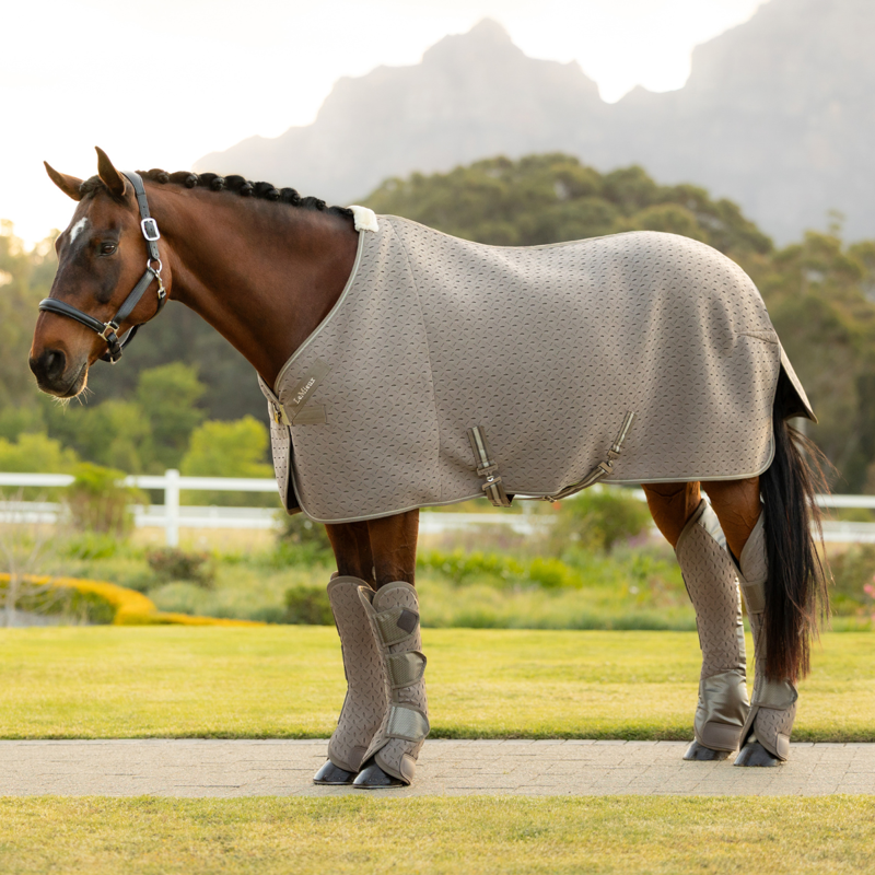 LeMieux Kudos 3D Mesh Travel Rug - Pecan-6