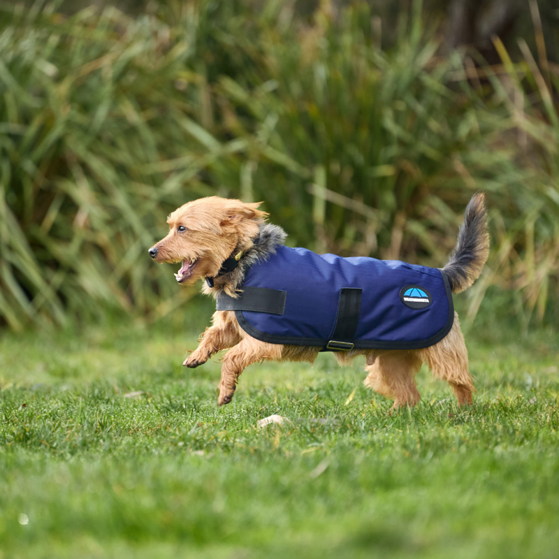 WeatherBeeta ComfiTec Classic Waterproof Dog Coat - Navy-3