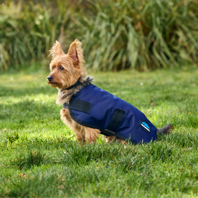 WeatherBeeta ComfiTec Classic Waterproof Dog Coat - Navy-4