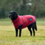 WeatherBeeta ComfiTec Fleece Zip Dog Coat - Burgundy/Navy