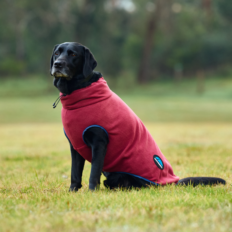 WeatherBeeta ComfiTec Fleece Zip Dog Coat - Burgundy/Navy-1