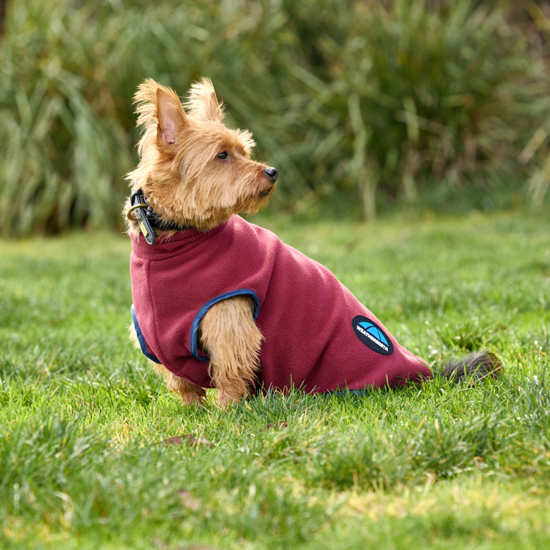 WeatherBeeta ComfiTec Fleece Zip Dog Coat - Burgundy/Navy-2