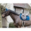 Kentucky Wellington Basic Velvet Fly Veil - Navy