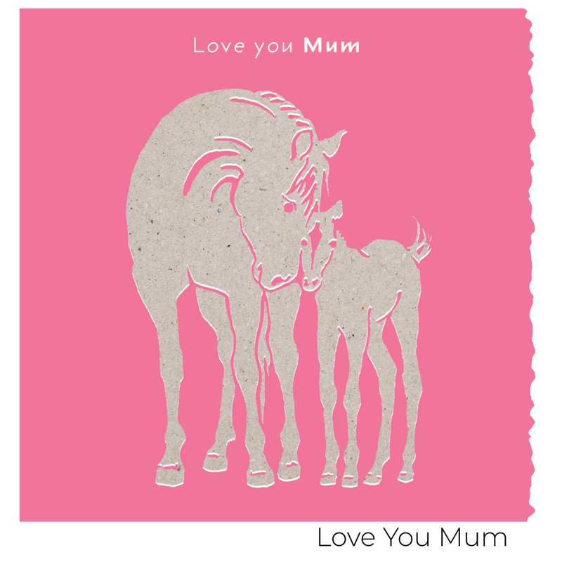 Deckled Edge Colour Block Pony Card-12