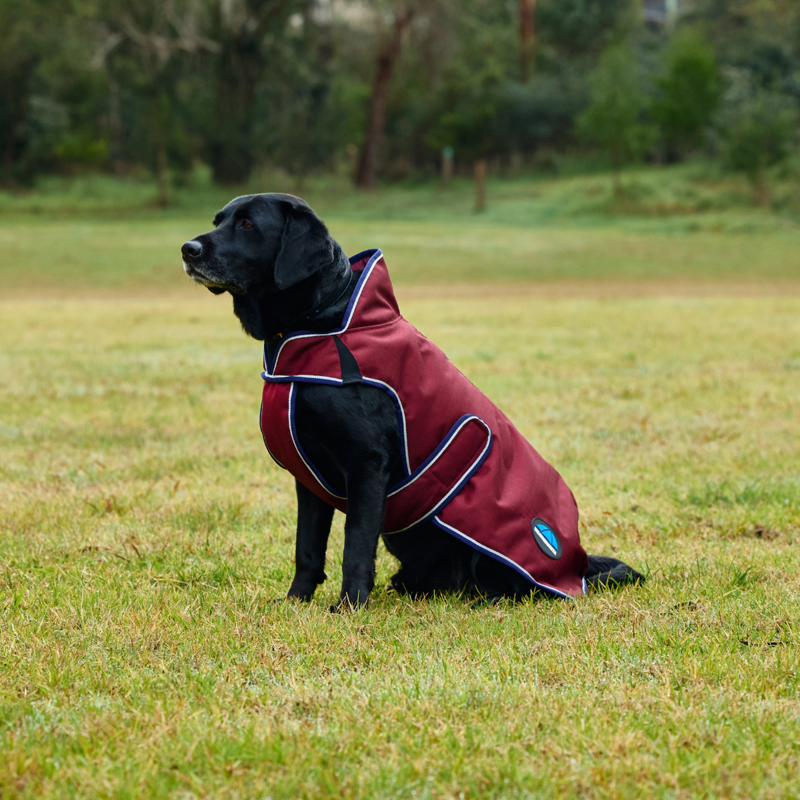 WeatherBeeta ComfiTec Premier Deluxe Waterproof Dog Coat - Burgundy/Navy-1