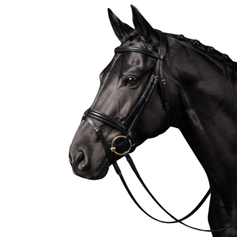 Cameo ComfortPro Flash Bridle with Rubber Grip Reins - Black-2