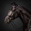 Cameo ComfortPro Flash Bridle with Rubber Grip Reins - Black