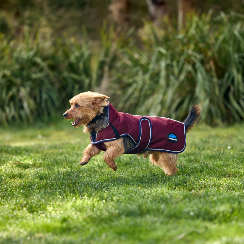 WeatherBeeta ComfiTec Premier Deluxe Waterproof Dog Coat - Burgundy/Navy-5