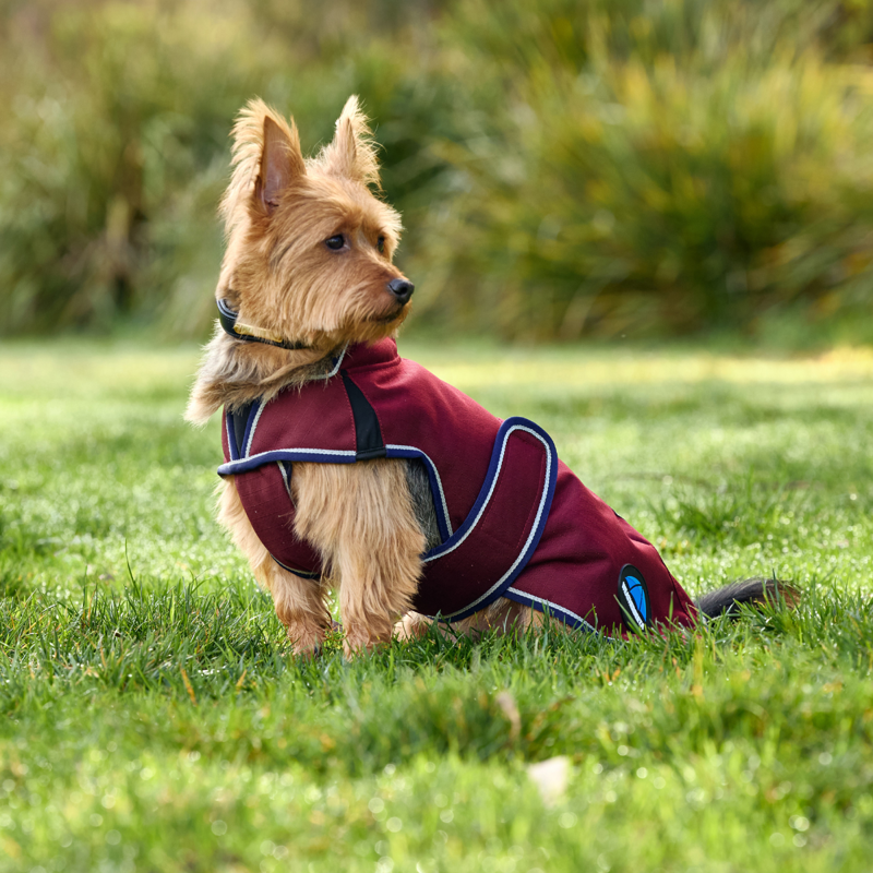 WeatherBeeta ComfiTec Premier Deluxe Waterproof Dog Coat - Burgundy/Navy-6
