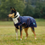 WeatherBeeta ComfiTec Premier Deluxe Waterproof Dog Coat - Navy/Burgundy