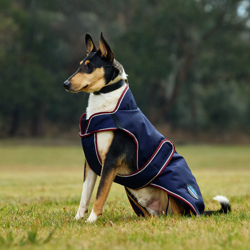 WeatherBeeta ComfiTec Premier Deluxe Waterproof Dog Coat - Navy/Burgundy-1